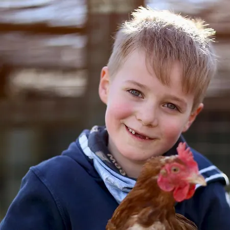 Daire Bauernhof Wulff - 