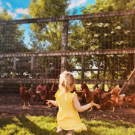 Daire Bauernhof Wulff - 