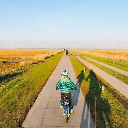 Daire Bauernhof Wulff - 