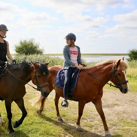 Daire Bauernhof Wulff - 