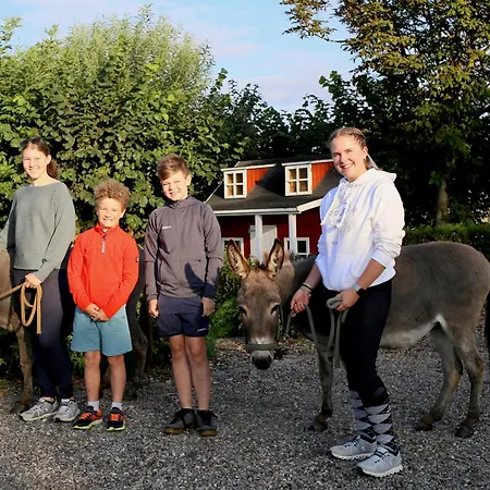 Bauernhof Wulff - 